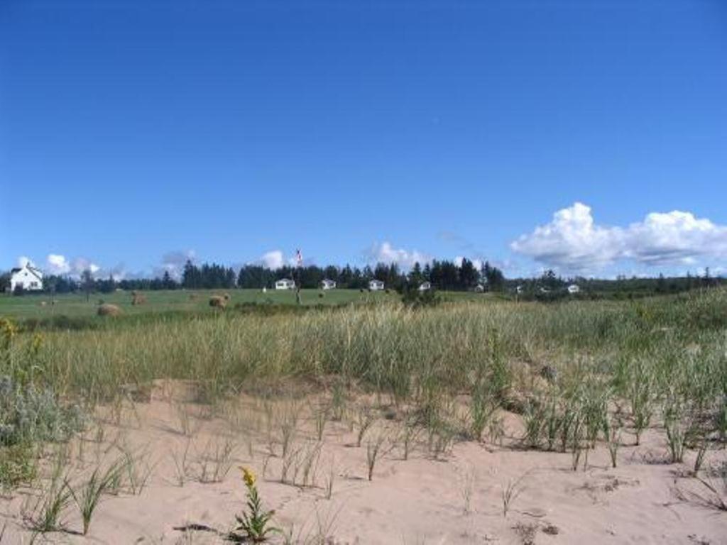 Sea'Scape Cottages Bayfield Exteriér fotografie